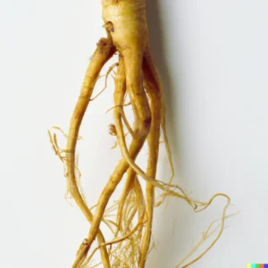 *Wild Ginseng Root