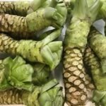 *Wasabi Root